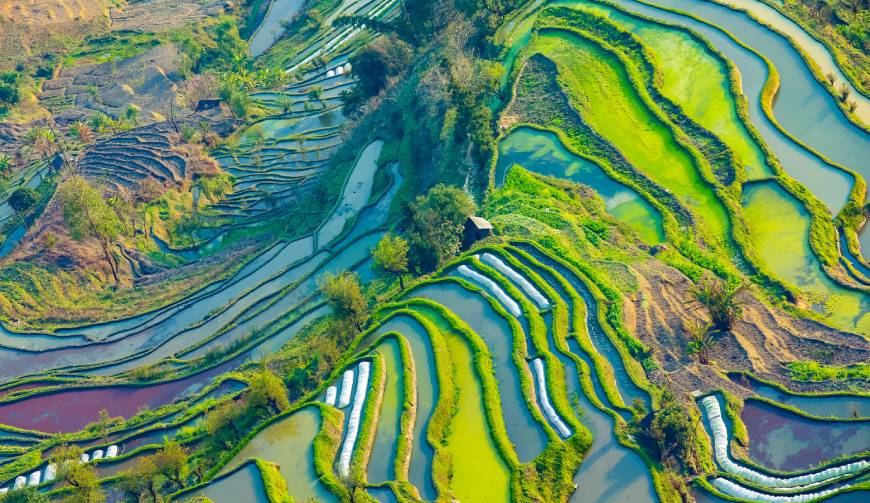 宝妈必备神器：阳明区产品视频拍摄轻松育儿好帮手