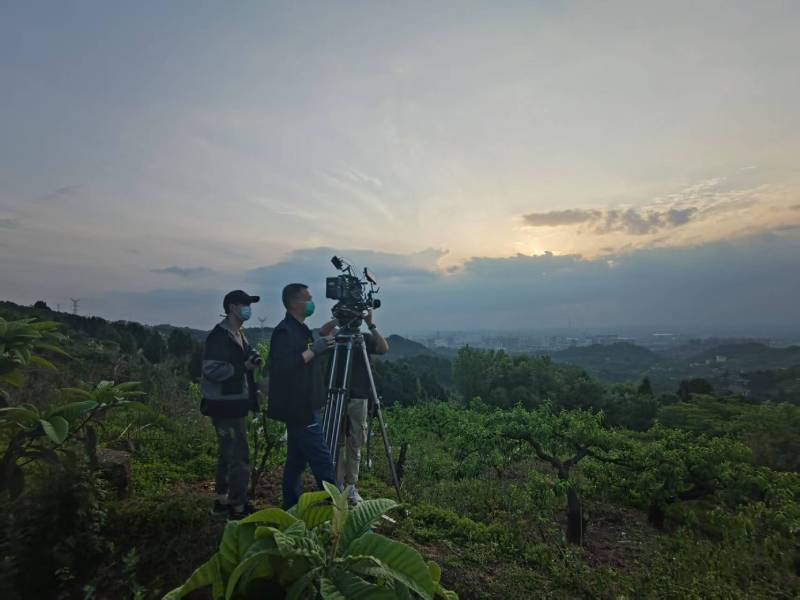 创意破圈！阳明区电商产品宣传视频用故事化叙事引爆流量
