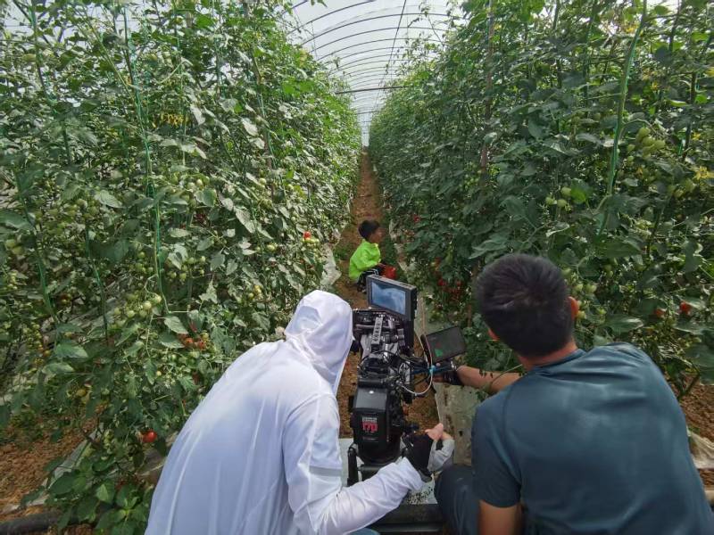 阳明区产品宣传视频拍摄公司进阶指南，助力品牌抢占传播高地